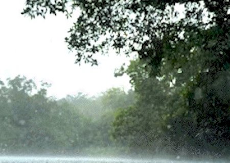Rio da Prata mant&eacute;m &aacute;guas cristalinas mesmo sob chuva em Jardim