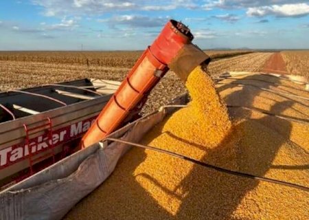 Com 80% da soja vendida, produtor de MS monitora clima dos EUA para vender saldo