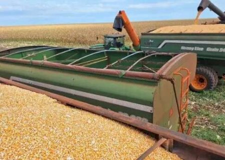 MS mant&eacute;m 5&ordf; posi&ccedil;&atilde;o na produ&ccedil;&atilde;o de gr&atilde;os em safra recorde do pa&iacute;s