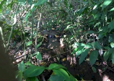 TJMS mant&eacute;m suspens&atilde;o de obras da prefeitura em &aacute;rea de c&oacute;rrego nas Moreninhas