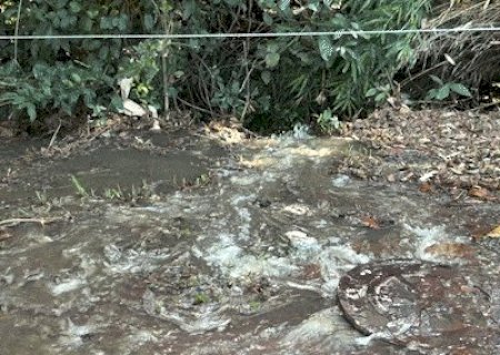 Moradora denuncia vazamento de esgoto ao lado do Parque do Prosa