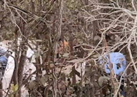 Avi&atilde;o destru&iacute;do ainda emitia alarme ap&oacute;s queda com duas mortes