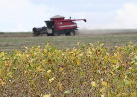 Nova linha de cr&eacute;dito destina R$ 10 bilh&otilde;es para modernizar o agroneg&oacute;cio