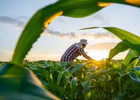 MP de dívida rural foca em perdas climáticas, diz Durigan