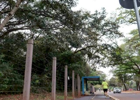 Imasul vai vistoriar &aacute;rvores vizinhas a ponto de &ocirc;nibus, pistas e ciclovia