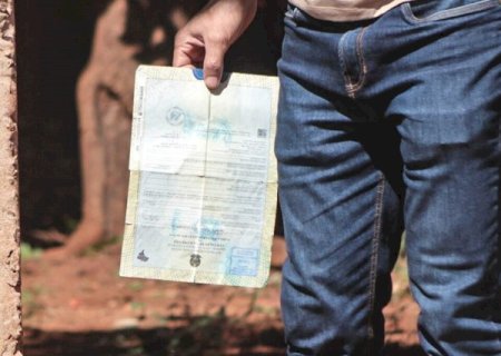 Em MS, uma crian&ccedil;a &eacute; registrada sem o nome do pai a cada 2h