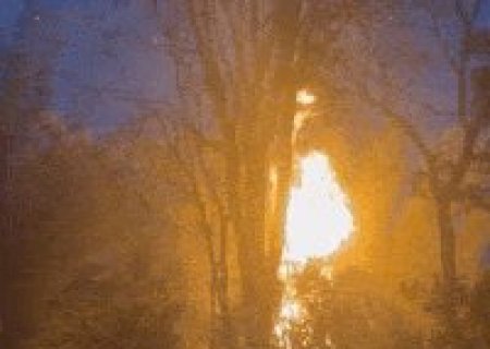 Inc&ecirc;ndio em bambuzal deixa Ch&aacute;cara dos Poderes sem energia