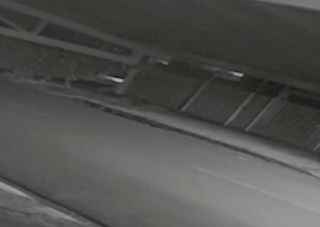 Juiz manda soltar trio preso h&aacute; 18 dias por morte no Monte Castelo