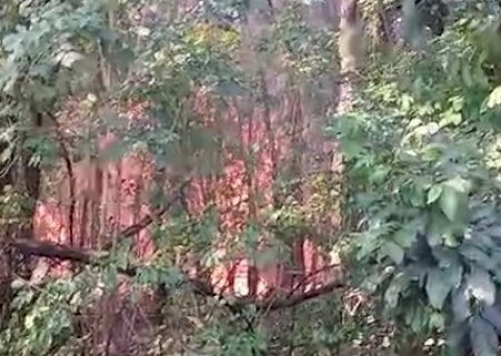 Inc&ecirc;ndio avan&ccedil;a sobre casas e assusta moradores no Jardim Ametista