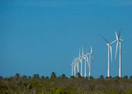 Projeto mapeia caminhos para economia verde no Nordeste