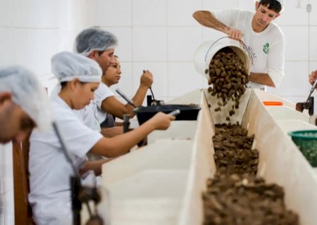 Consulta sobre bens sustentáveis no acordo Mercosul–UE acaba na quarta