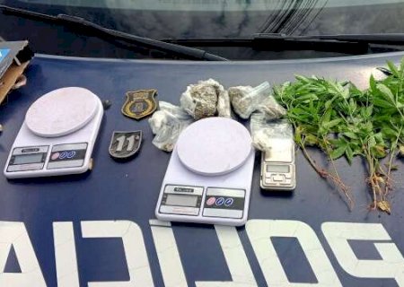 Suspeito de plantar maconha em terreno perto do trabalho &eacute; preso