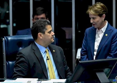 Tereza Cristina entra no jogo por comando do Senado com agro e STF na pauta