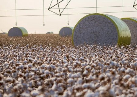 Entenda mudança no mapa que tirou Sorriso do topo da produção agrícola