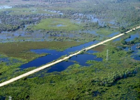 Fiocruz recebe R$ 2,1 milh&otilde;es para investigar riscos de doen&ccedil;as no Pantanal