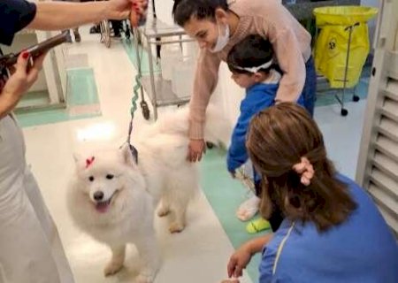 Projeto volunt&aacute;rio com c&atilde;es alegra pacientes no Hospital Universit&aacute;rio