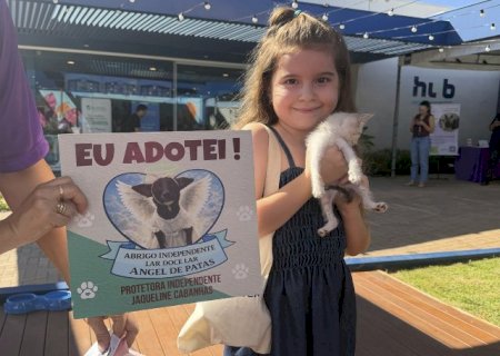 Conex&atilde;o Pet celebra Dia dos Animais com sa&uacute;de, ado&ccedil;&atilde;o e divers&atilde;o