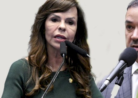 Dorinha e Vicentinho Junior vão disputar o 2° turno no Tocantins